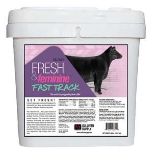 Fresh and Feminine Fast Track for Show Cattle Sullivan Supply